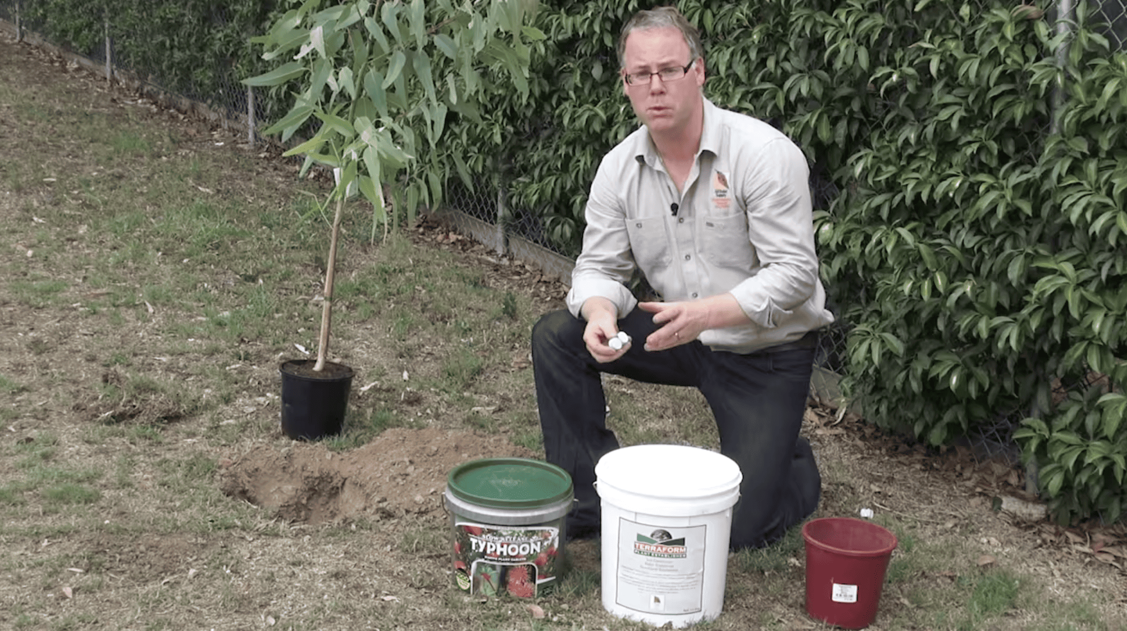 How to Install & Support Large Trees