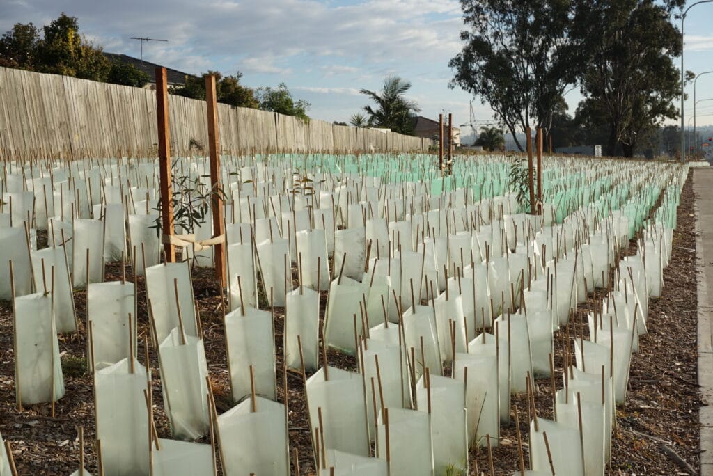 What Are the Best Tree Guards? | All Stake Supply