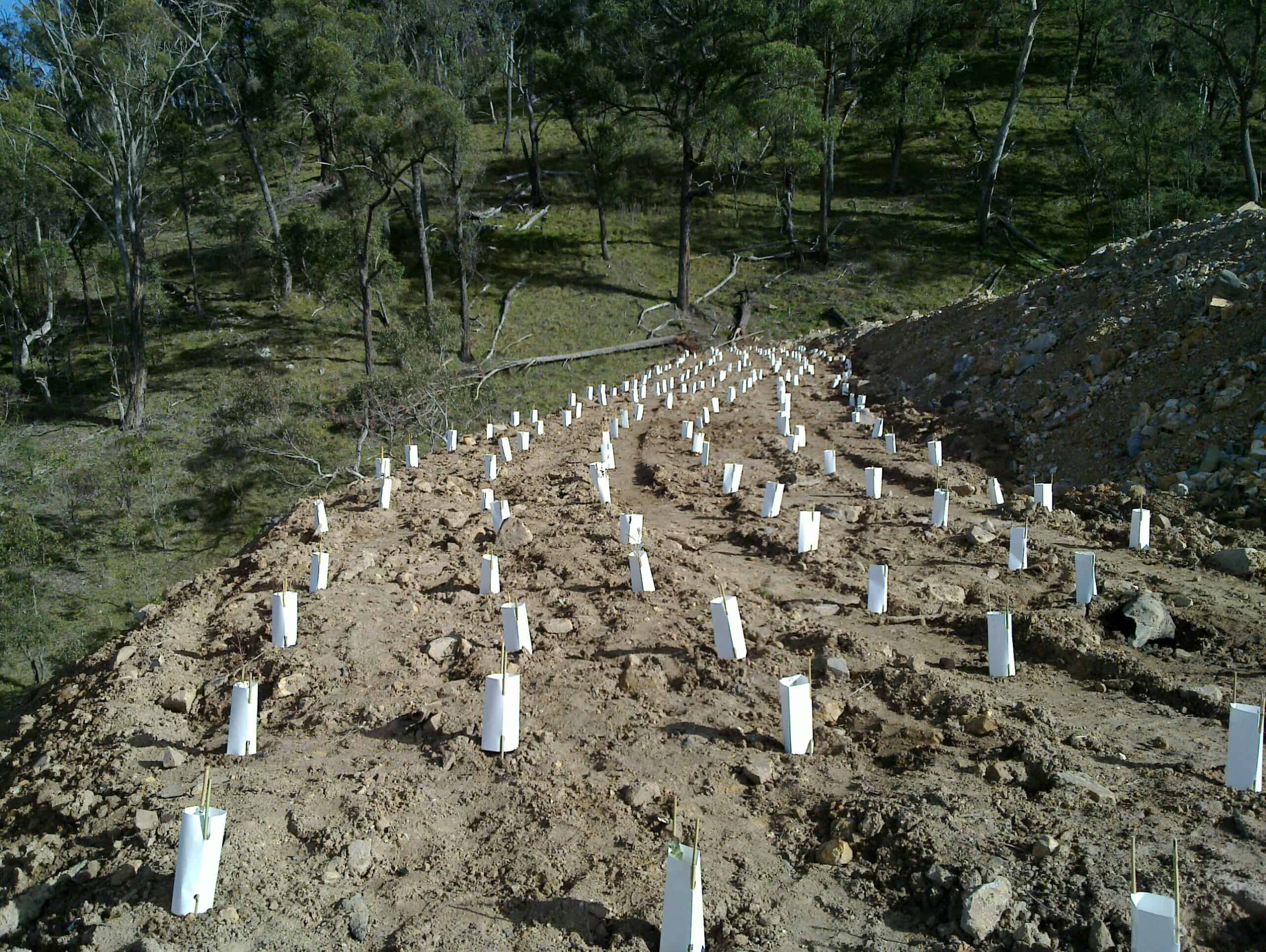 Milk Carton Tree Guards 1 Litre - 300 Pack - All Stake Supply
